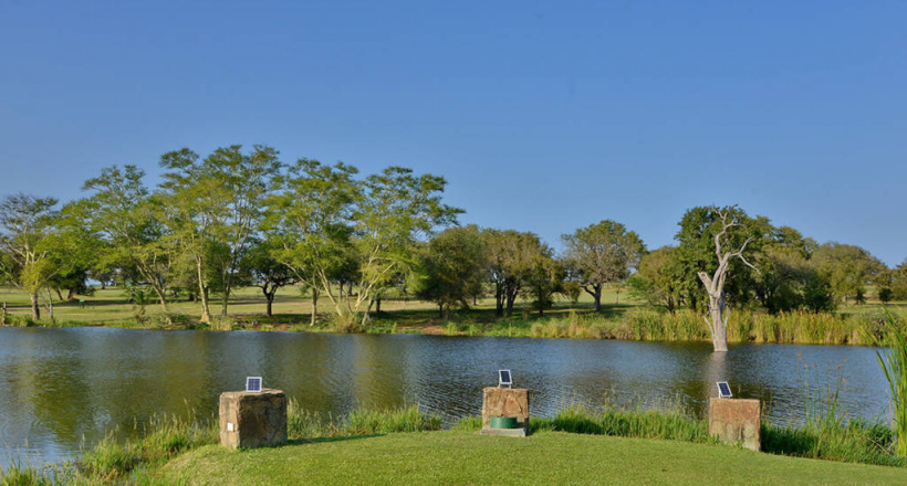 Sân golf hoang dã nhất thế giới Skukuza Golf Club