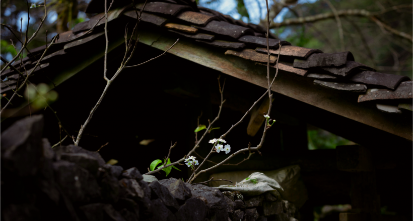 Chinh phục “làng địa ngục” trên mây: Nơi tách biệt với thế giới, bí ẩn từ trong phim đến ngoài đời thực