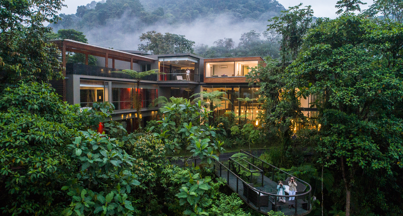 Thiên đường của tín đồ đam mê khám phá giữa rừng mưa bí ẩn tại Ecuador