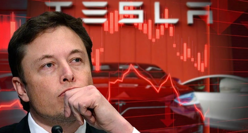 Elon Musk khơi mào cuộc chiến đưa giá xe điện xuống đáy