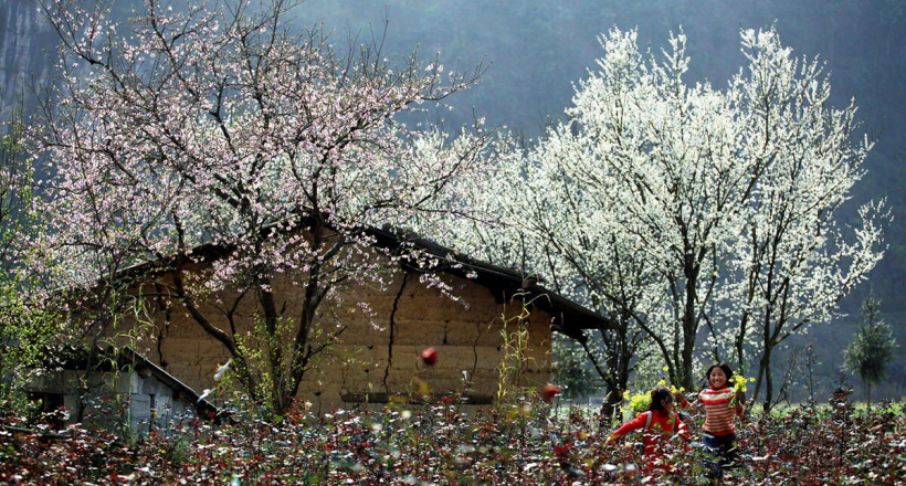 Top 5 địa điểm du lịch trong nước sau dịp Tết Nguyên Đán