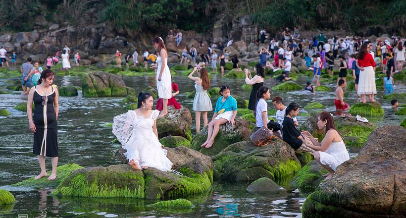 Chen chân chụp ảnh bãi rêu ven biển Đà Nẵng