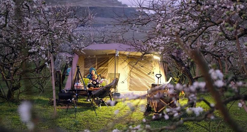 Ngủ lều giữa cái lạnh 3 độ C dưới tán hoa mận