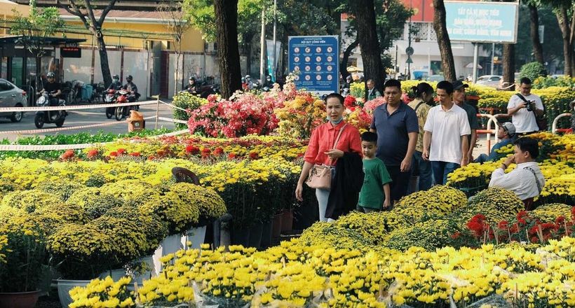 Đi khắp Sài Gòn để chụp ảnh chợ hoa Tết