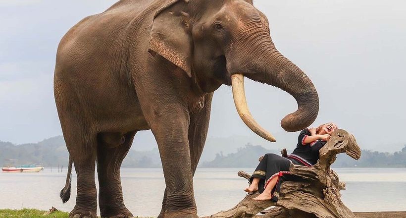Chàng trai Tây Nguyên làm du lịch thân thiện với voi