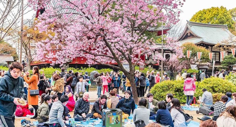 Lượng khách Việt đến Nhật tăng trưởng cao nhất thế giới