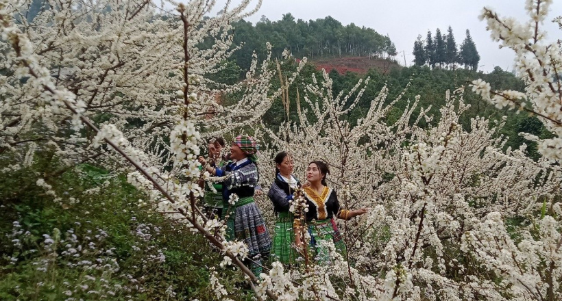 Độc đáo Tết rừng ở Nà Hẩu