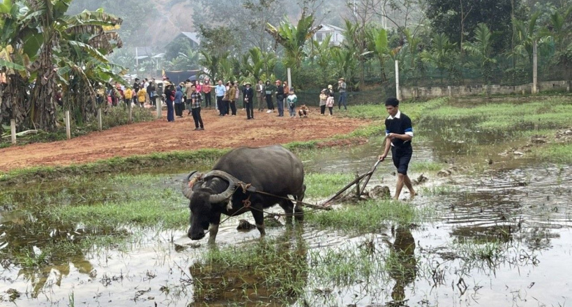 Sôi nổi lễ hội Lồng tồng ở Tân Hợp