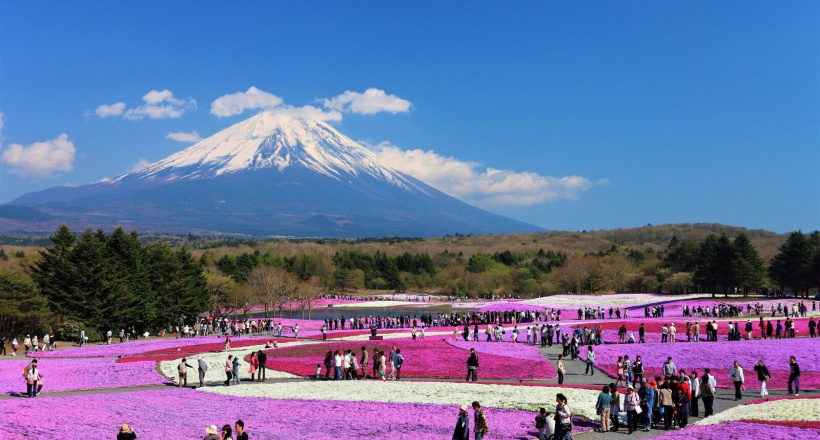 Khám phá sự lôi cuốn của đất nước “mặt trời mọc” trong tour Nhật Bản 5N5Đ