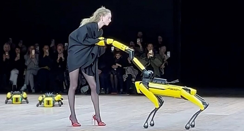 Chó robot lột đồ người mẫu trên sàn diễn