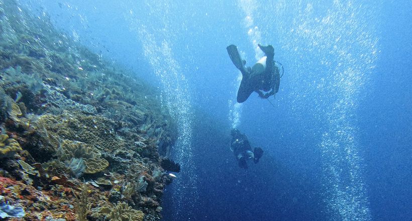 Khách Việt chi gần 250 triệu đồng lặn biển ở Đông Nam Á