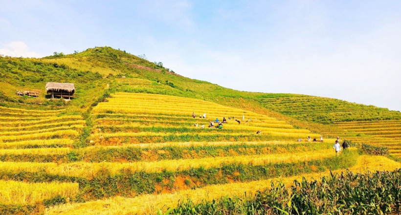 Du lịch Văn Yên hứa hẹn là điểm đến “an toàn, hấp dẫn, ấn tượng”