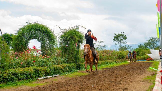 Trình diễn phi ngựa vượt chướng ngại vật, xuyên vòng lửa ở Fansipan