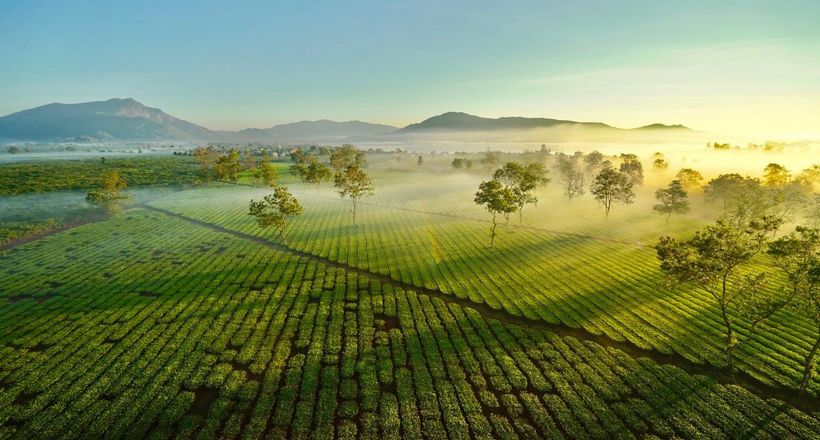 Gia Lai không chỉ có Biển Hồ
