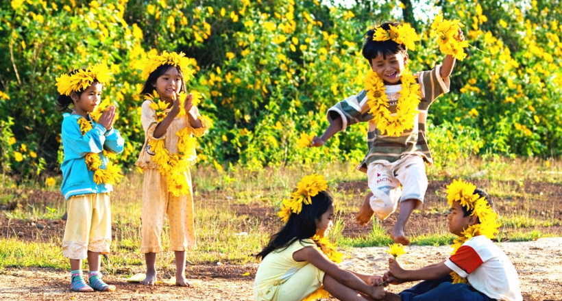 Núi lửa Chư Đăng Ya rực cháy trong sắc vàng mùa hoa dã quỳ