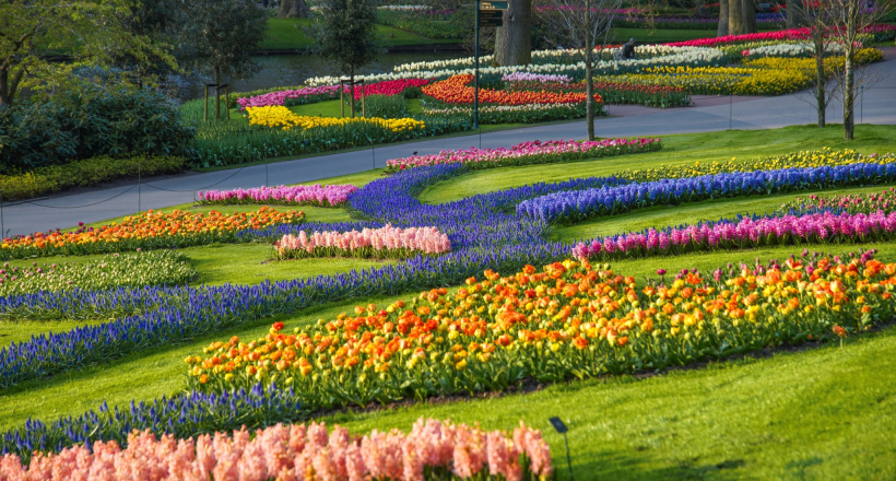 Tham quan vườn hoa Keukenhof Hà Lan - Vườn hoa lớn nhất thế giới
