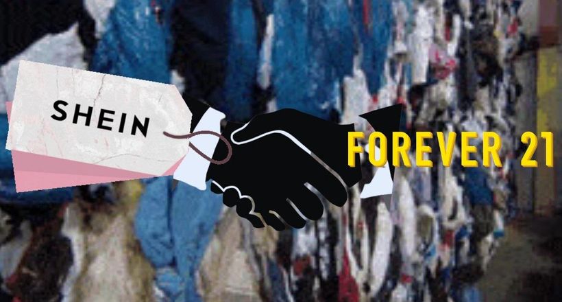 Shein hợp tác Forever 21: Tham vọng chiếm lĩnh thị trường thời trang
