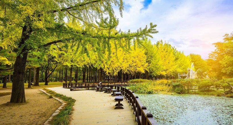 Chiêm ngưỡng thiên nhiên tươi đẹp bốn mùa trong tour du lịch Hàn Quốc