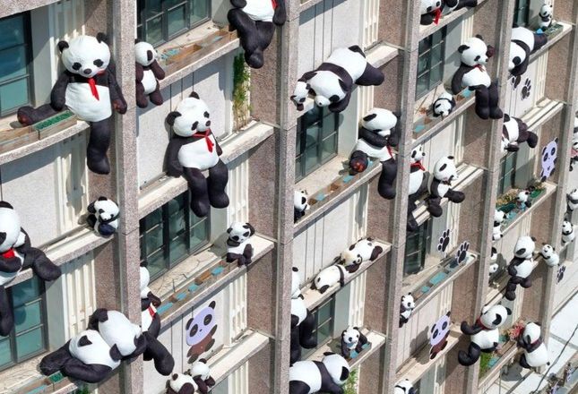 Xiêu lòng trước khách sạn Manxin Trung Quốc ngập tràn gấu trúc xinh xắn