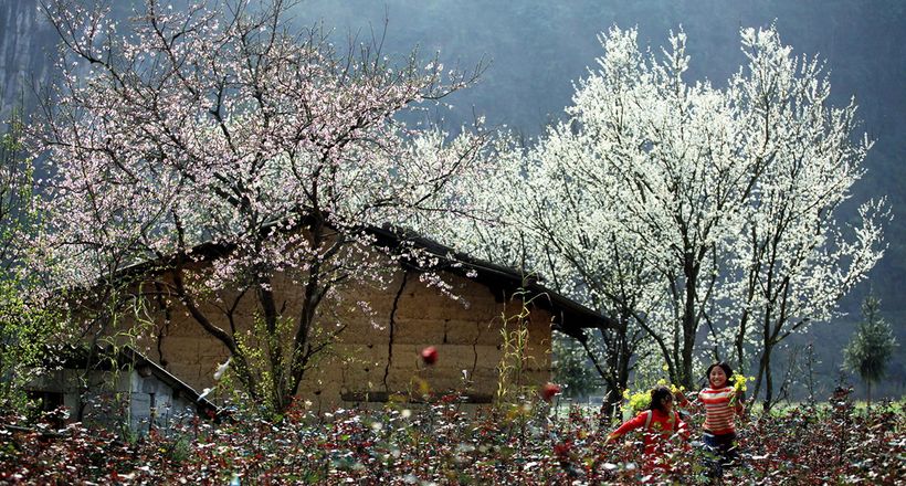 Top 5 địa điểm du lịch trong nước sau dịp Tết Nguyên Đán