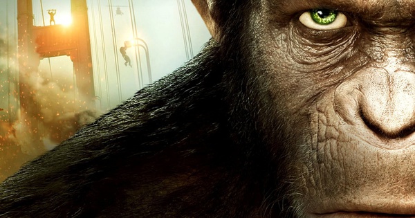 Trung Quốc nhân bản thành công 'Tôn Ngộ Không': Kịch bản khỉ trỗi dậy thay thế con người liệu có thành hiện thực?