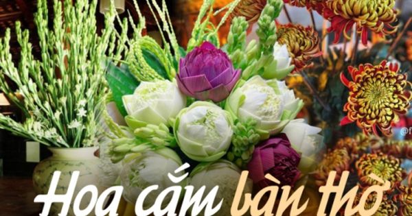 Loại hoa nào nên bày trên bàn thờ ngày Tết giúp thu hút tài lộc? Hoa cắm số chẵn hay số lẻ mới đúng?