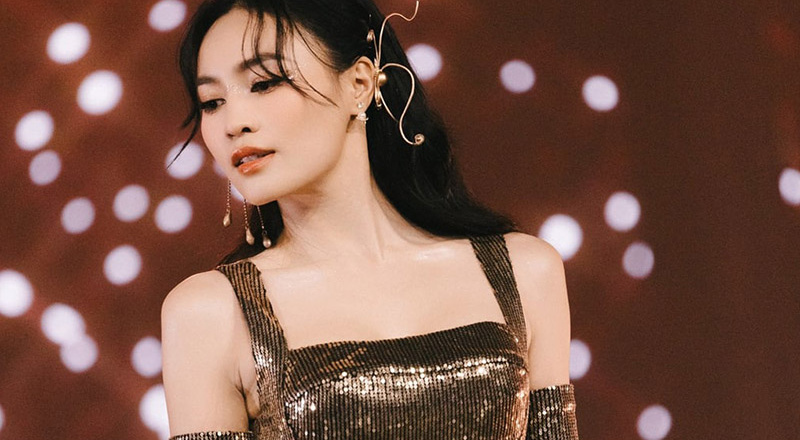 Ninh Dương Lan Ngọc thông báo tạm dừng hoạt động, đi học ở Australia