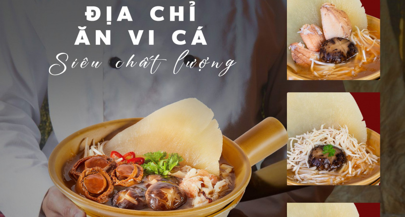 Địa chỉ ăn vi cá siêu chất lượng ở Sài Gòn