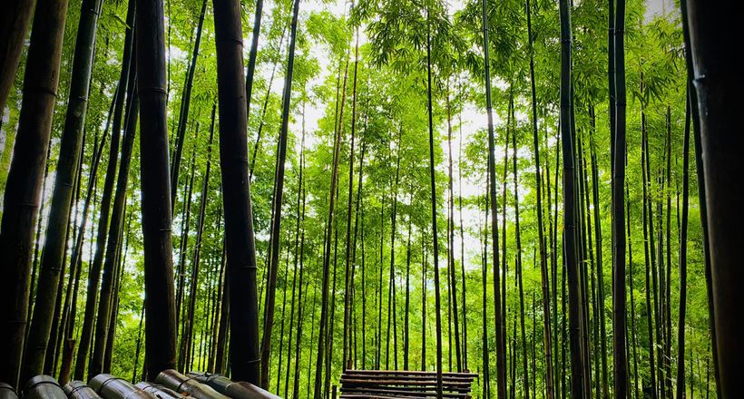 Phát hiện nơi cảnh như trong phim ở vùng núi phía Bắc, du khách nhận xét không phải ai cũng tới được