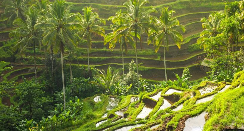 Bali: Thiên đường mùa hè