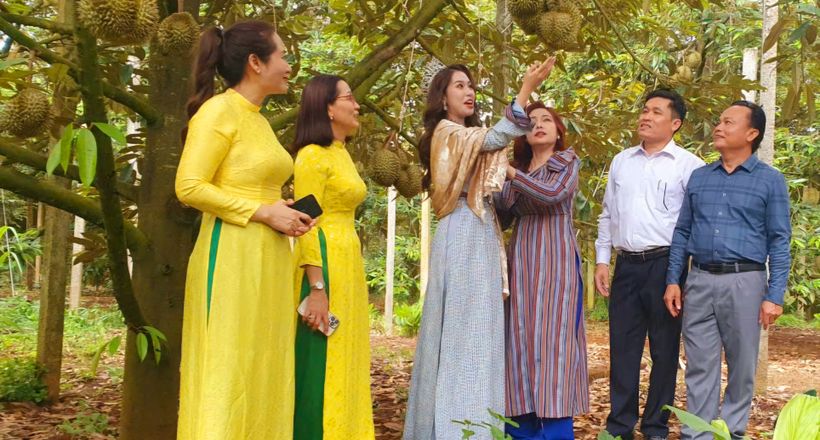 Sầu riêng Krông Pắc - Phát triển và Hội nhập