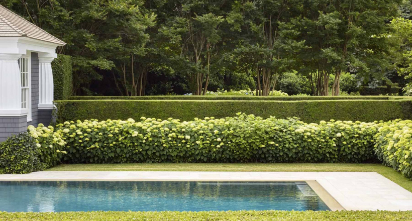 Ưu và nhược của hàng rào cây xanh