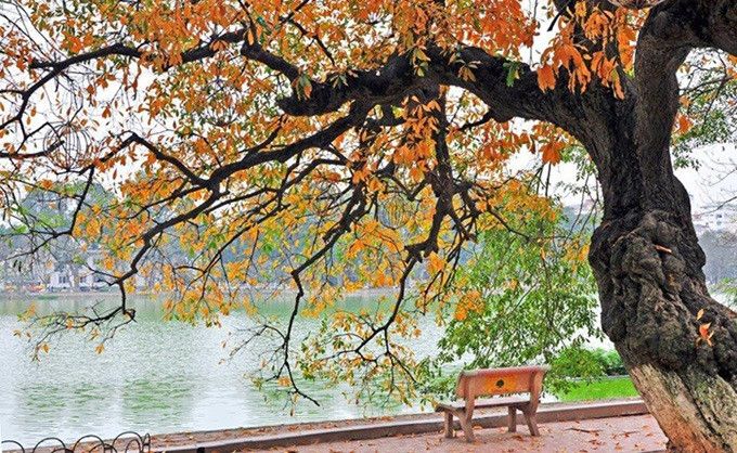 Hà Nội giới thiệu nhiều gói du lịch mùa thu 2024 hấp dẫn