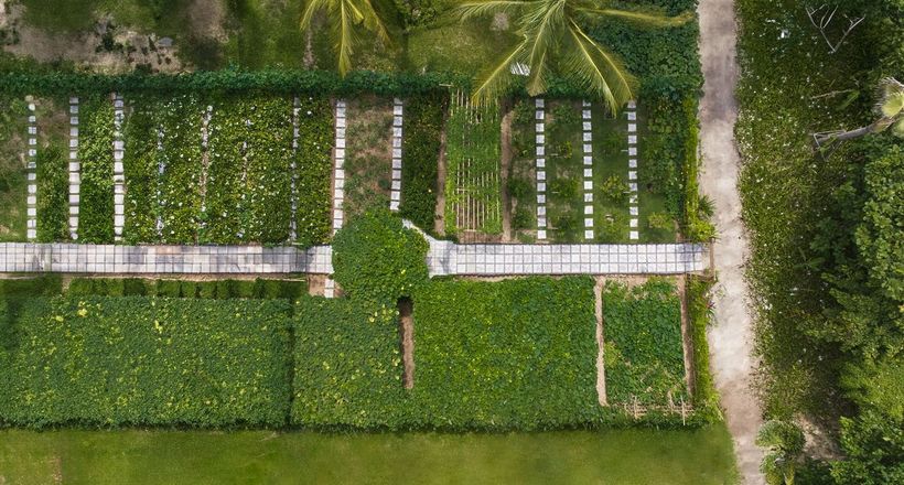 Khám phá vườn ươm hữu cơ và lớp học nấu ăn bên biển tại Danang Marriott Resort & Spa