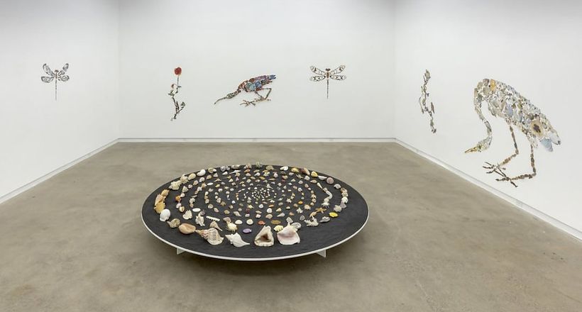 "Chiếc bóng của sao Thiên Lang" hay góc nhìn siêu thực về vạn vật của Jenny Murphy