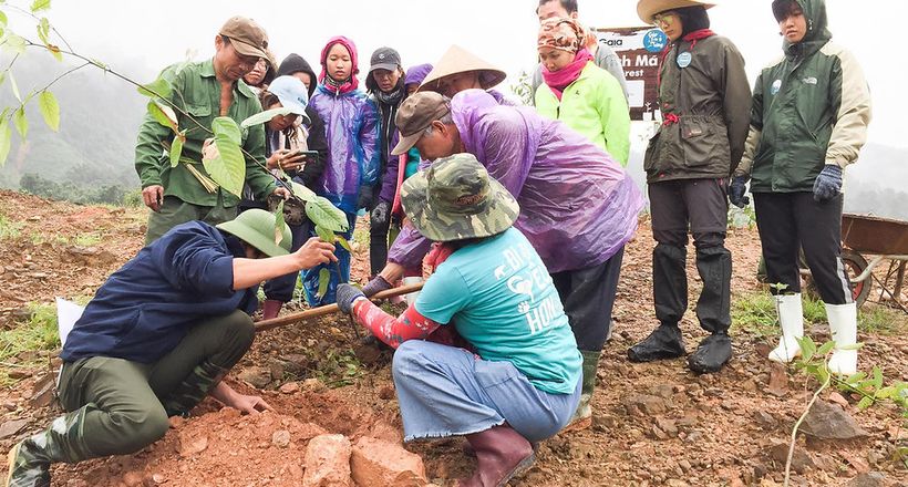 Kairos đóng góp 2000 cây gỗ chung tay phủ xanh rừng Bạch Mã