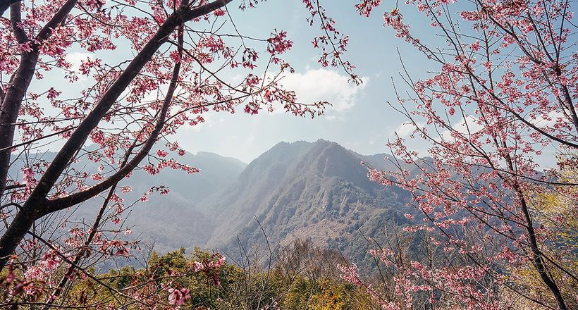 Đài Loan - hòn đảo xinh đẹp thừa hưởng sự hào phóng từ thiên nhiên