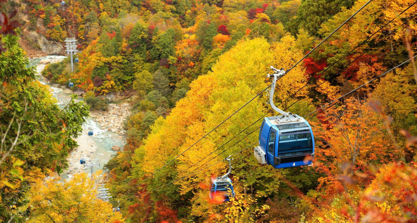 Mách bạn 3 địa điểm tuyệt đẹp để ngắm lá đỏ vào mùa thu Nhật Bản