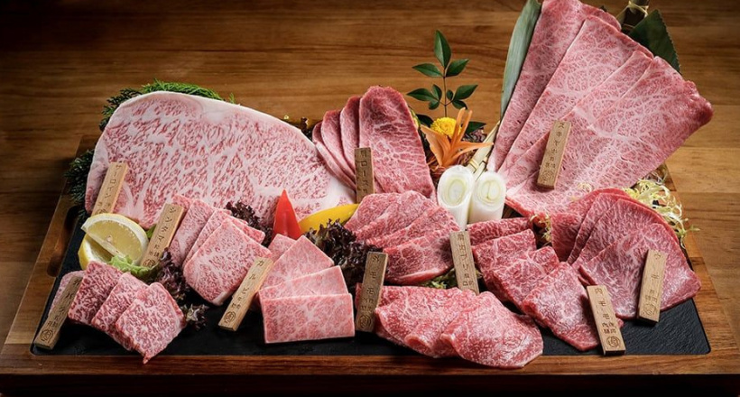 Bò Wagyu A5 Dát Vàng - Khám phá miếng bò "đắt nhất thế giới"