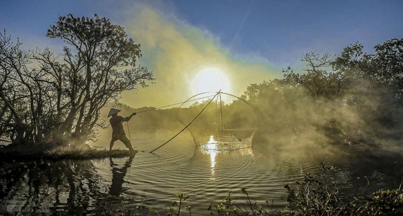 Đẹp mê mẩn rừng ngập mặn Huế mùa thay lá