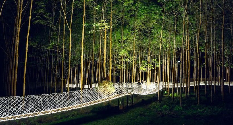 Blue Diamond Camp hoà mình vào thiên nhiên và thân thiện với môi trường