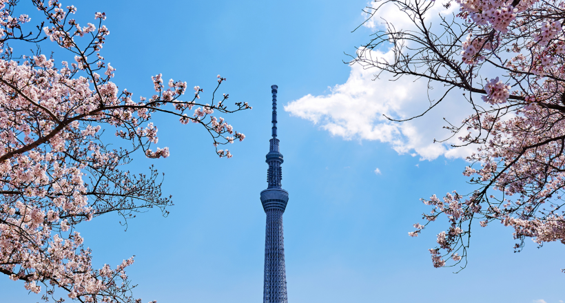 Tour Nhật Bản 4N4Đ tận hưởng trọn vẹn sắc xuân với visa đơn giản