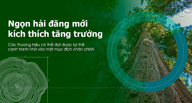 Xu hướng Marketing 2022: Ngọn hải đăng giúp thương hiệu tăng lợi thế [Kỳ 1]