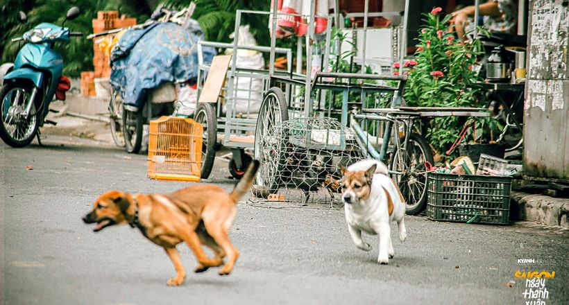 Phóng sự ảnh: Ngày Sài Gòn hồi sinh - Cuộc sống ơi, thương mến quá! [Kỳ 2]