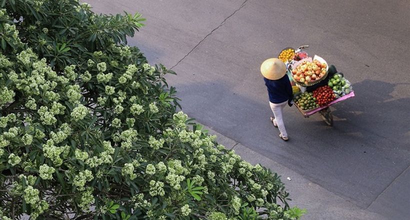 [Phiếm đàm cuối tuần] Những khắc mùa ở Sài Gòn, và mùa thu...
