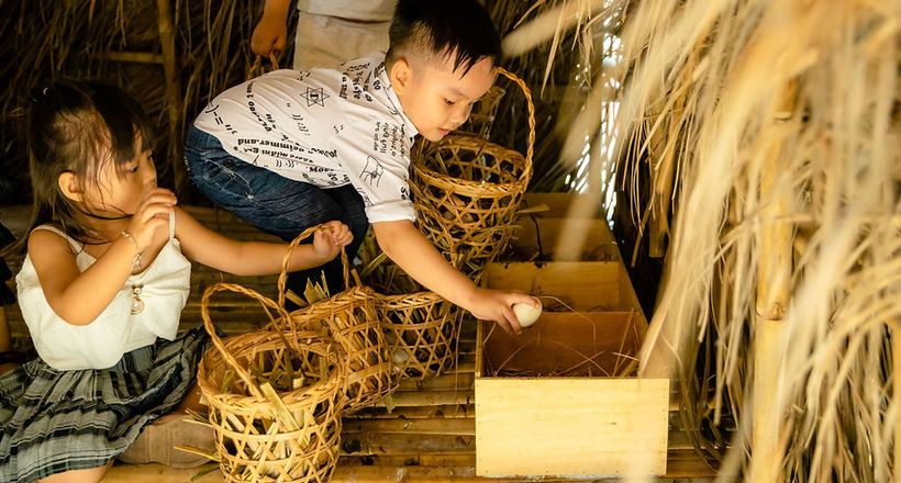 Fusion tiên phong dùng trứng gà nuôi thả và đạt 100% vào năm 2025