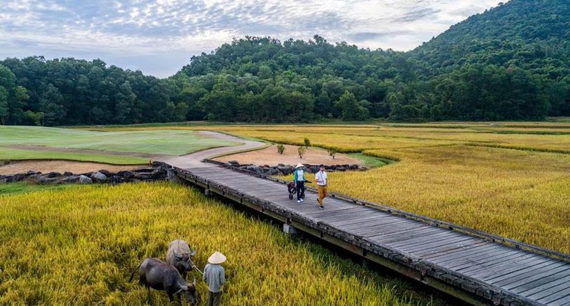 Xu hướng phát triển bền vững vì hệ sinh thái của những khu nghỉ dưỡng cao cấp