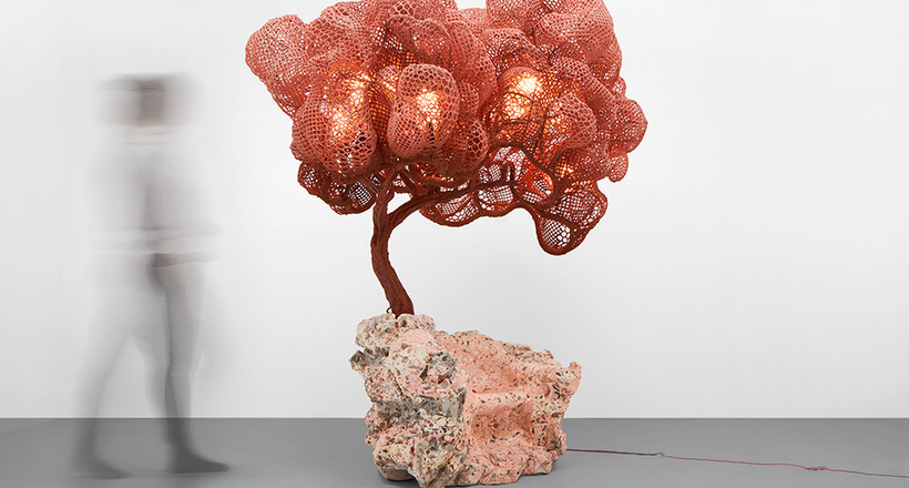 Thiên nhiên trong thiết kế: Nghệ thuật, thiết kế, công nghệ hòa quyện tại Biophilia