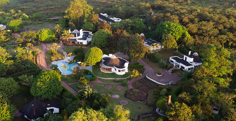 Royal Palm Galapagos - Đắm mình trong vẻ hoang sơ hùng vĩ của núi rừng đảo nhiệt đới