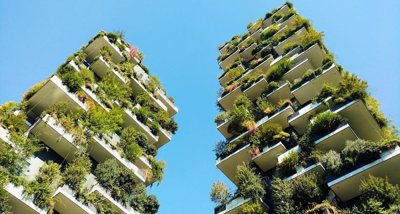 Nỗi khao khát thiên nhiên của chúng ta bộc lộ qua phong cách thiết kế ưu sinh học